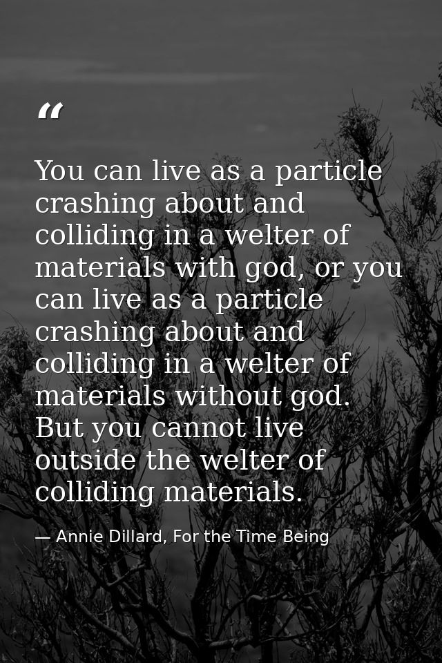 You can live as a particle crashing about and colliding in a welter of materials with god, or you can live as a particle — Annie Dillard, For the Time Being