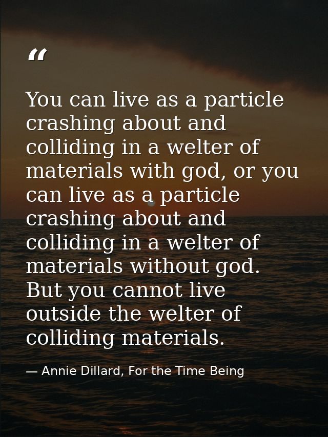 You can live as a particle crashing about and colliding in a welter of materials with god, or you can live as a particle — Annie Dillard, For the Time Being