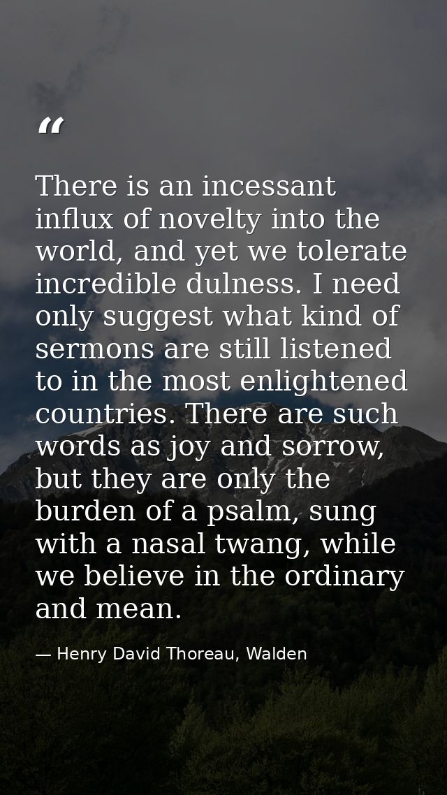 There is an incessant influx of novelty into the world, and yet we tolerate incredible dulness. I need only suggest what — Henry David Thoreau, Walden