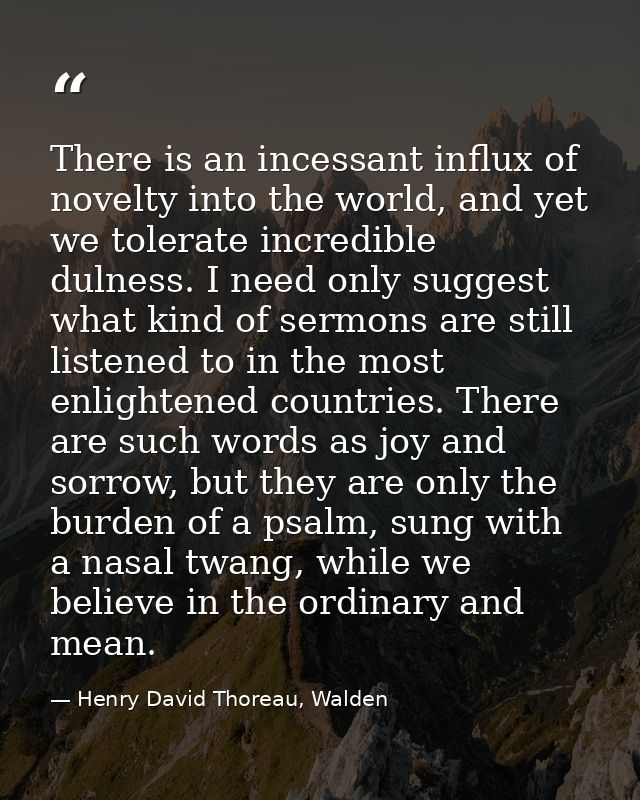 There is an incessant influx of novelty into the world, and yet we tolerate incredible dulness. I need only suggest what — Henry David Thoreau, Walden