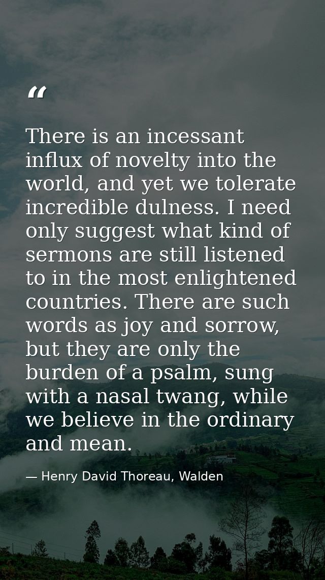 There is an incessant influx of novelty into the world, and yet we tolerate incredible dulness. I need only suggest what — Henry David Thoreau, Walden