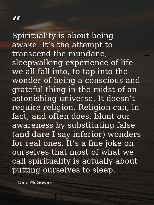 Spirituality is about being awake. It’s the attempt to transcend the mundane, sleepwalking experience of life we all fal — Dale McGowan