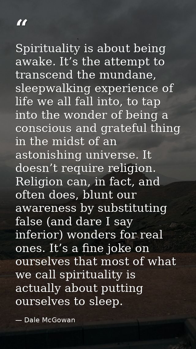 Spirituality is about being awake. It’s the attempt to transcend the mundane, sleepwalking experience of life we all fal — Dale McGowan