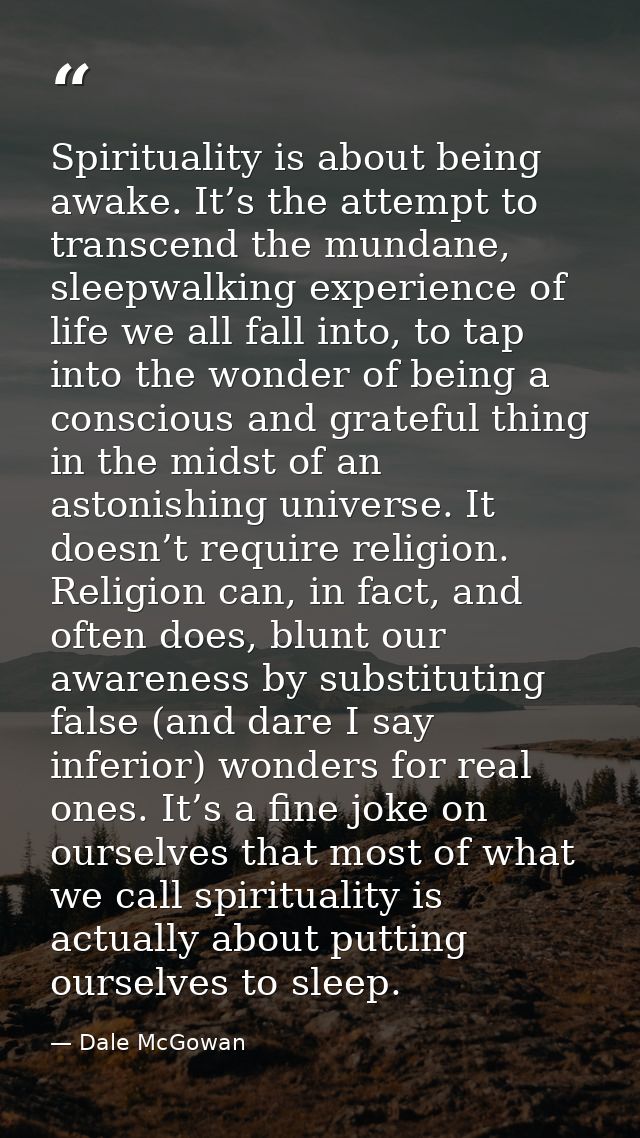Spirituality is about being awake. It’s the attempt to transcend the mundane, sleepwalking experience of life we all fal — Dale McGowan
