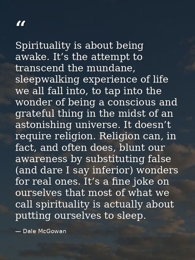 Spirituality is about being awake. It’s the attempt to transcend the mundane, sleepwalking experience of life we all fal — Dale McGowan