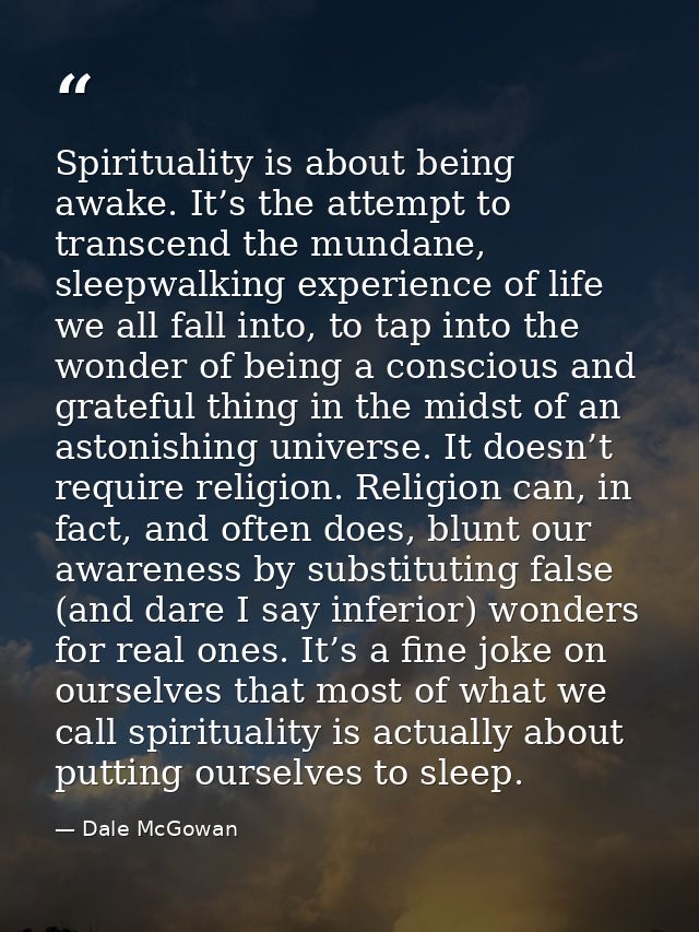 Spirituality is about being awake. It’s the attempt to transcend the mundane, sleepwalking experience of life we all fal — Dale McGowan
