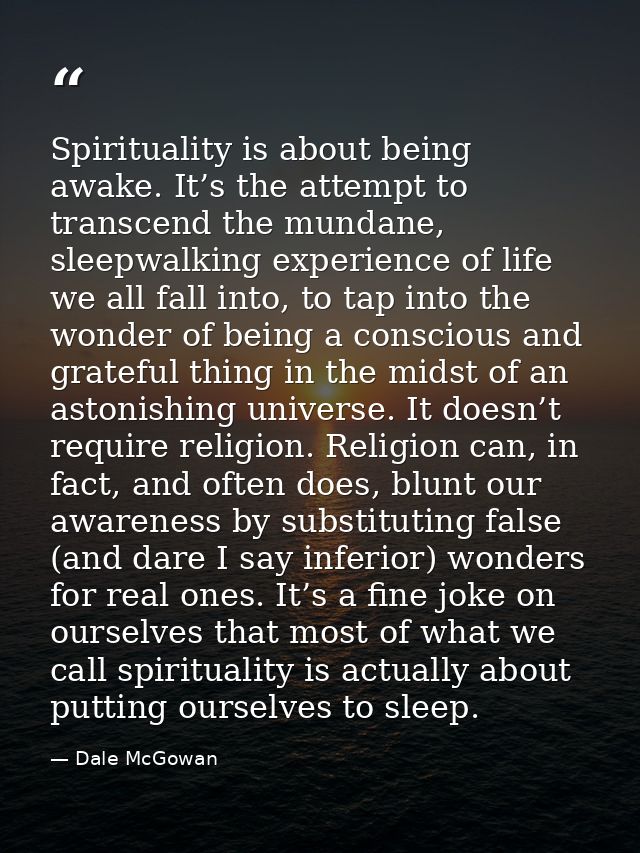 Spirituality is about being awake. It’s the attempt to transcend the mundane, sleepwalking experience of life we all fal — Dale McGowan