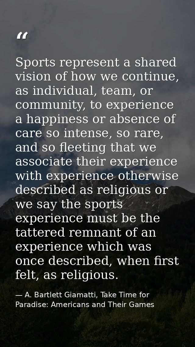Sports represent a shared vision of how we continue, as individual, team, or community, to experience a happiness or abs — A. Bartlett Giamatti, Take Time for Paradise: Americans and Their Games