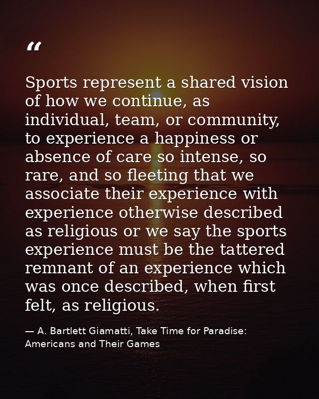 Sports represent a shared vision of how we continue, as individual, team, or community, to experience a happiness or abs — A. Bartlett Giamatti, Take Time for Paradise: Americans and Their Games