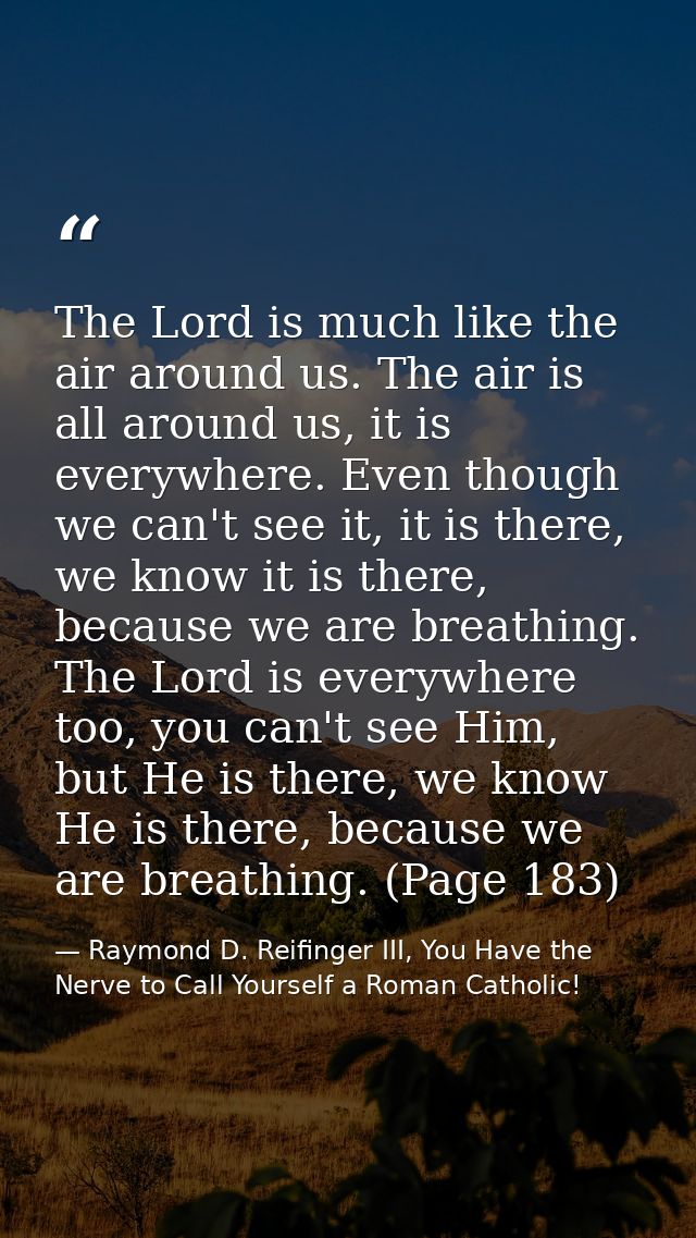 The Lord is much like the air around us. The air is all around us, it is everywhere. Even though we can't see it, it is  — Raymond D. Reifinger III, You Have the Nerve to Call Yourself a Roman Catholic!