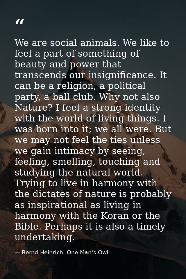 We are social animals. We like to feel a part of something of beauty and power that transcends our insignificance. It ca — Bernd Heinrich, One Man's Owl