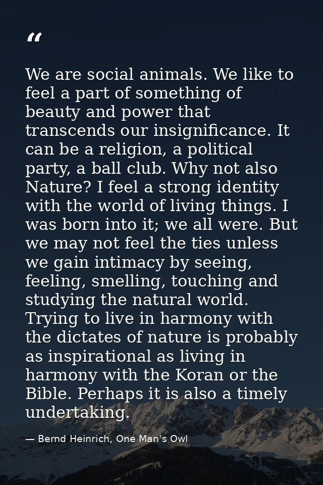 We are social animals. We like to feel a part of something of beauty and power that transcends our insignificance. It ca — Bernd Heinrich, One Man's Owl
