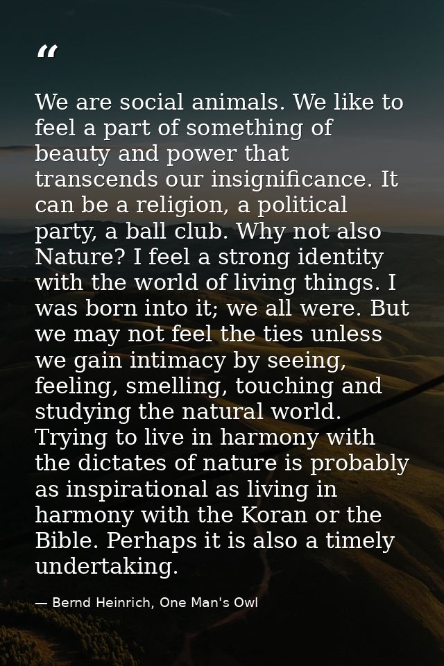 We are social animals. We like to feel a part of something of beauty and power that transcends our insignificance. It ca — Bernd Heinrich, One Man's Owl