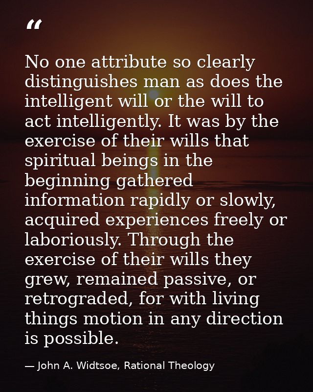 No one attribute so clearly distinguishes man as does the intelligent will or the will to act intelligently. It was by t — John A. Widtsoe, Rational Theology