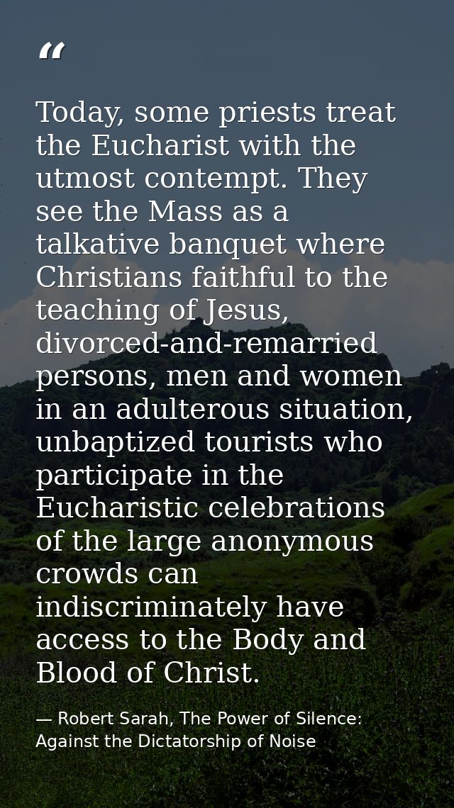 Today, some priests treat the Eucharist with the utmost contempt. They see the Mass as a talkative banquet where Christi — Robert Sarah, The Power of Silence: Against the Dictatorship of Noise