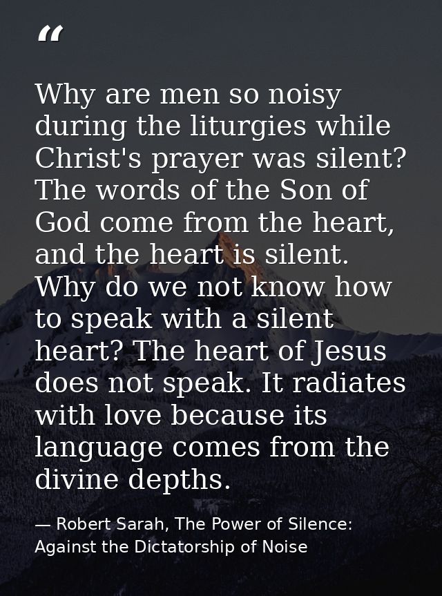 Why are men so noisy during the liturgies while Christ's prayer was silent? The words of the Son of God come from the he — Robert Sarah, The Power of Silence: Against the Dictatorship of Noise