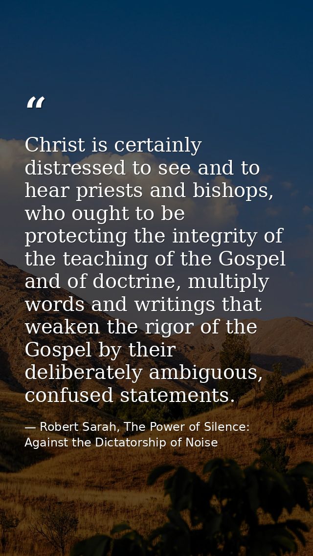 Christ is certainly distressed to see and to hear priests and bishops, who ought to be protecting the integrity of the t — Robert Sarah, The Power of Silence: Against the Dictatorship of Noise