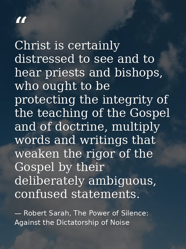 Christ is certainly distressed to see and to hear priests and bishops, who ought to be protecting the integrity of the t — Robert Sarah, The Power of Silence: Against the Dictatorship of Noise