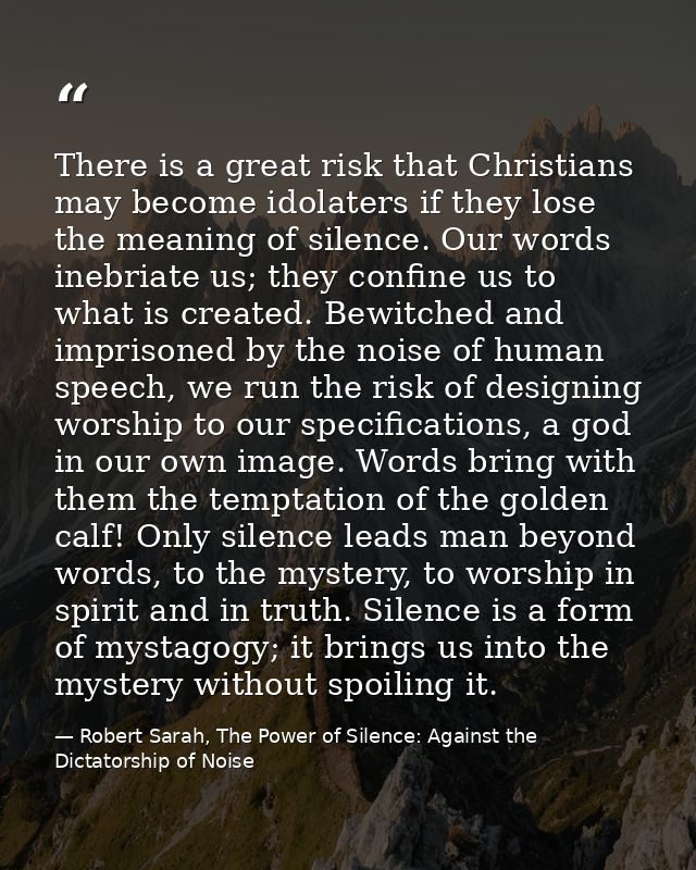 There is a great risk that Christians may become idolaters if they lose the meaning of silence. Our words inebriate us;  — Robert Sarah, The Power of Silence: Against the Dictatorship of Noise