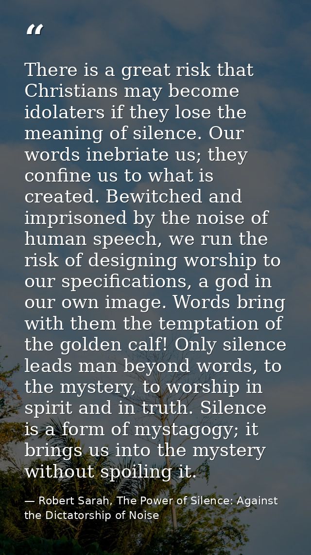 There is a great risk that Christians may become idolaters if they lose the meaning of silence. Our words inebriate us;  — Robert Sarah, The Power of Silence: Against the Dictatorship of Noise
