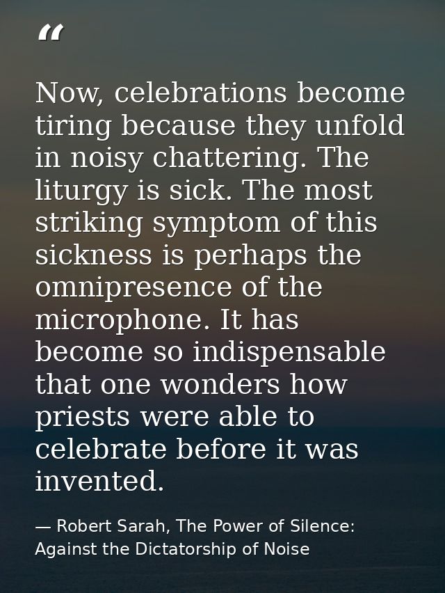 Now, celebrations become tiring because they unfold in noisy chattering. The liturgy is sick. The most striking symptom  — Robert Sarah, The Power of Silence: Against the Dictatorship of Noise