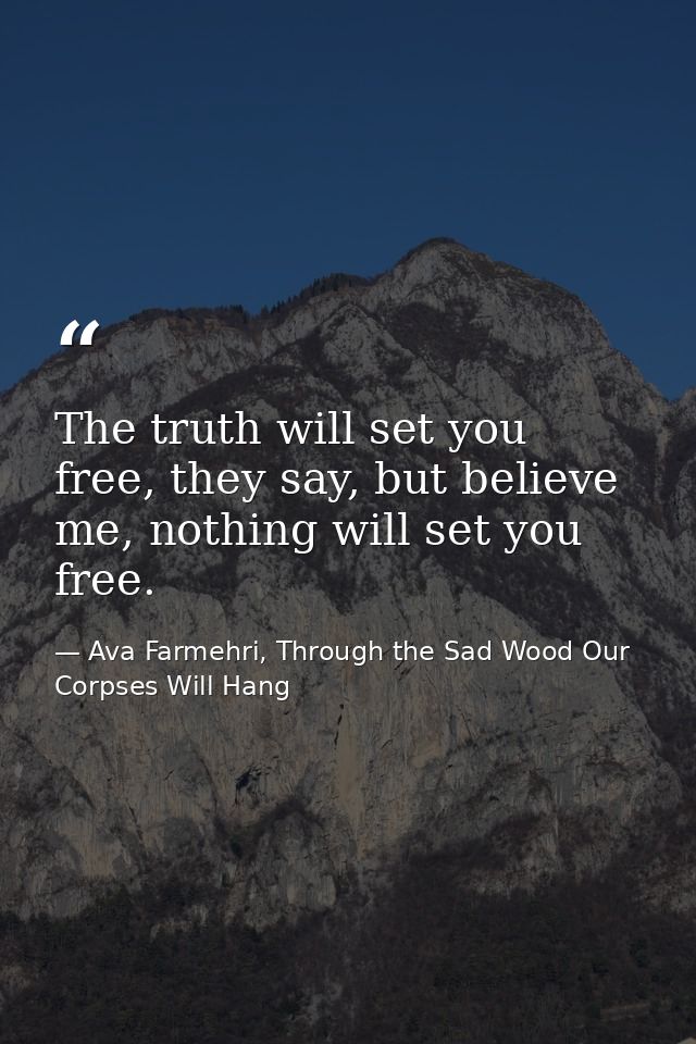 The truth will set you free, they say, but believe me, nothing will set you free. — Ava Farmehri, Through the Sad Wood Our Corpses Will Hang