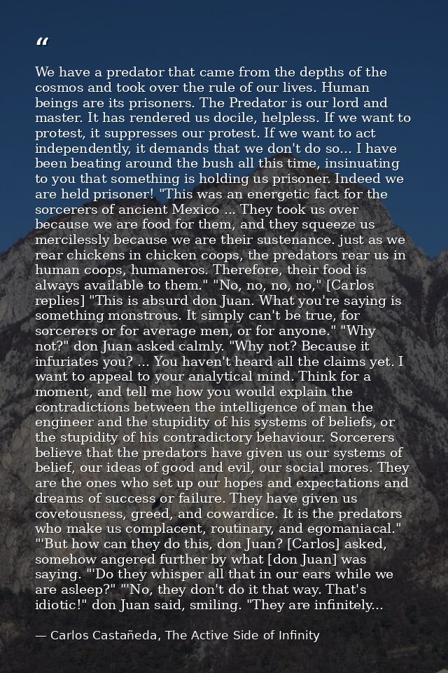 We have a predator that came from the depths of the cosmos and took over the rule of our lives. Human beings are its pri — Carlos Castañeda, The Active Side of Infinity