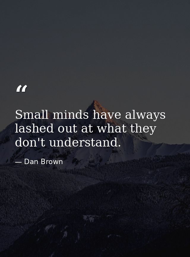 Small minds have always lashed out at what they don't understand. — Dan Brown