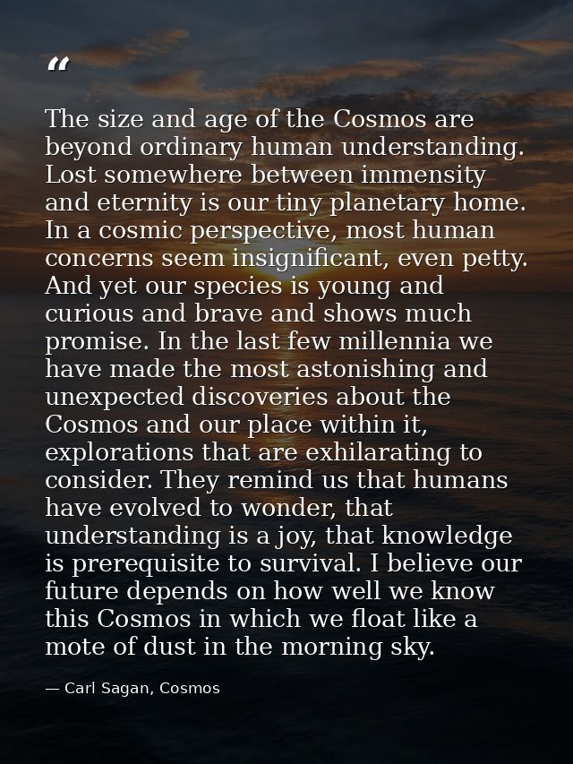 The size and age of the Cosmos are beyond ordinary human understanding. Lost somewhere between immensity and eternity is — Carl Sagan, Cosmos