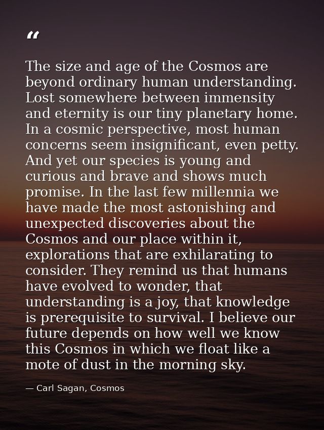 The size and age of the Cosmos are beyond ordinary human understanding. Lost somewhere between immensity and eternity is — Carl Sagan, Cosmos