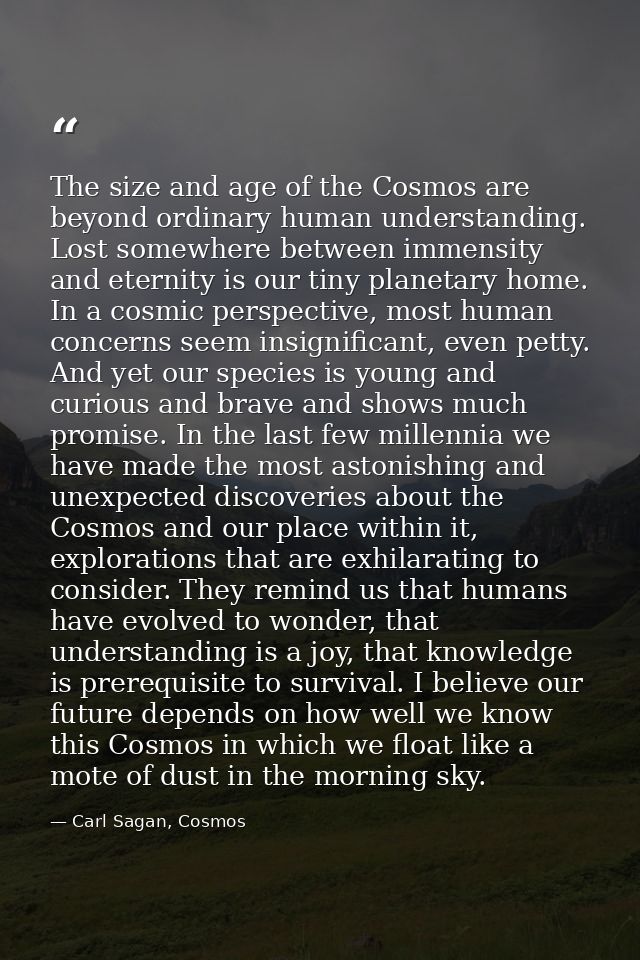 The size and age of the Cosmos are beyond ordinary human understanding. Lost somewhere between immensity and eternity is — Carl Sagan, Cosmos