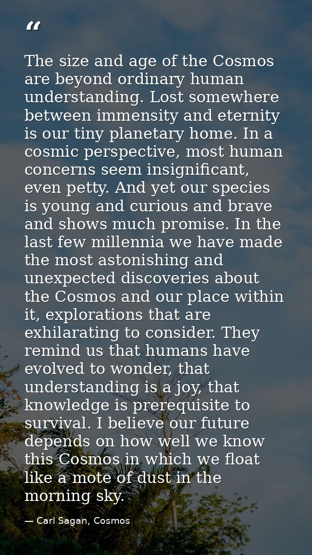 The size and age of the Cosmos are beyond ordinary human understanding. Lost somewhere between immensity and eternity is — Carl Sagan, Cosmos