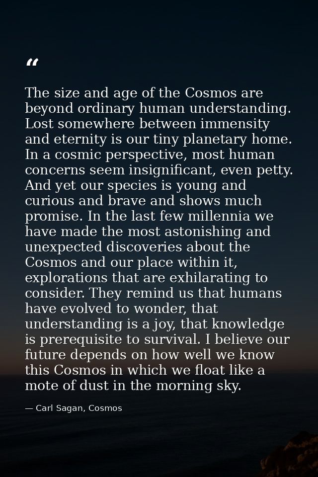 The size and age of the Cosmos are beyond ordinary human understanding. Lost somewhere between immensity and eternity is — Carl Sagan, Cosmos