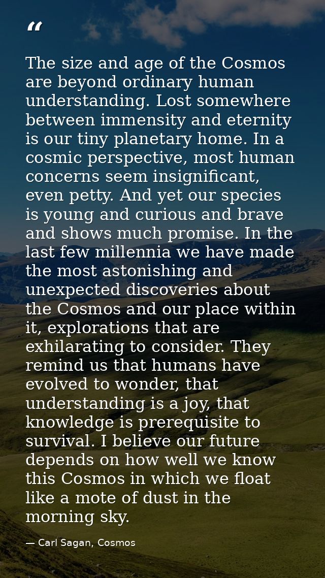 The size and age of the Cosmos are beyond ordinary human understanding. Lost somewhere between immensity and eternity is — Carl Sagan, Cosmos