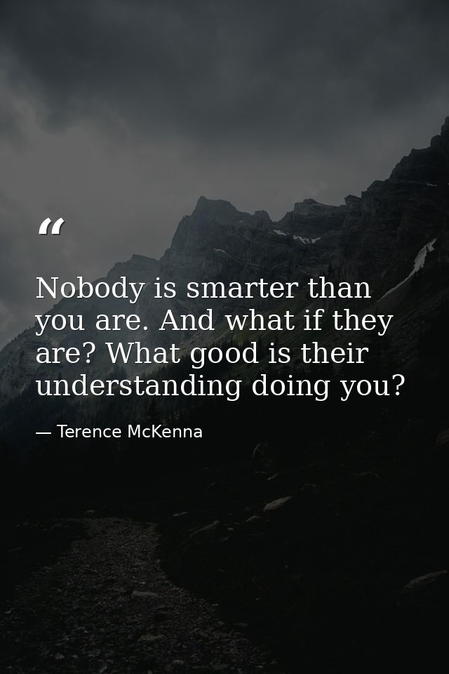 Nobody is smarter than you are. And what if they are? What good is their understanding doing you? — Terence McKenna