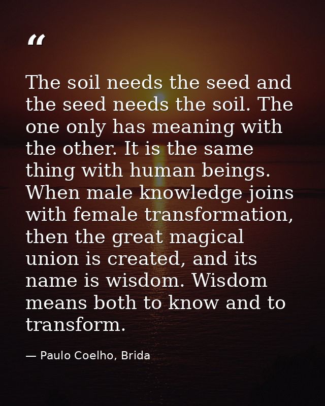 The soil needs the seed and the seed needs the soil. The one only has meaning with the other. It is the same thing with  — Paulo Coelho, Brida