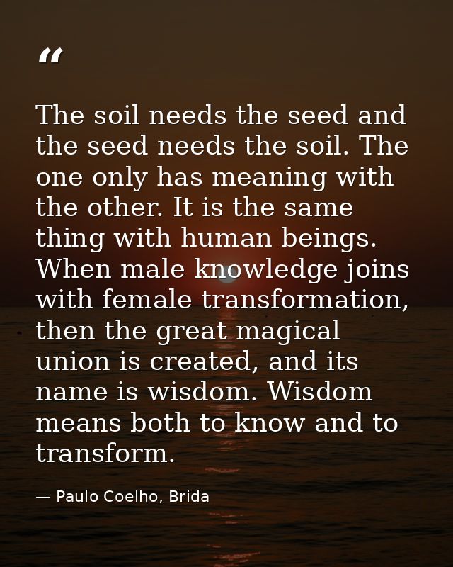 The soil needs the seed and the seed needs the soil. The one only has meaning with the other. It is the same thing with  — Paulo Coelho, Brida