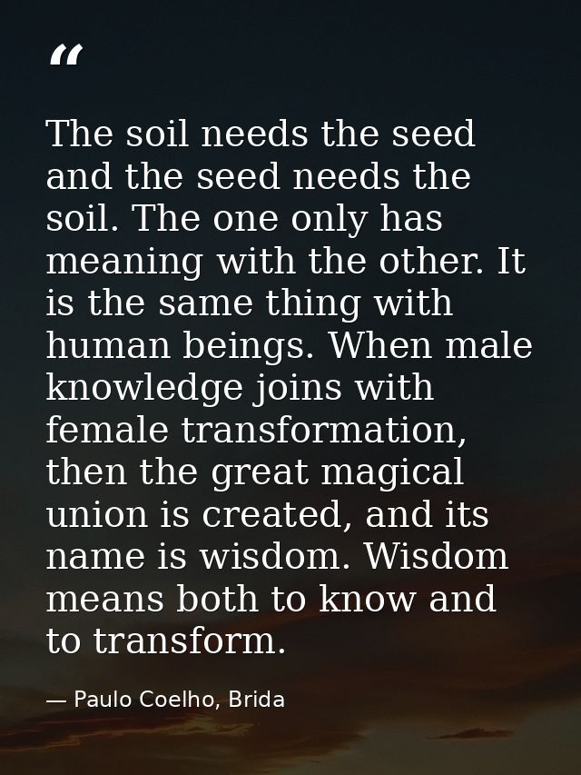 The soil needs the seed and the seed needs the soil. The one only has meaning with the other. It is the same thing with  — Paulo Coelho, Brida