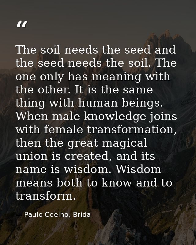 The soil needs the seed and the seed needs the soil. The one only has meaning with the other. It is the same thing with  — Paulo Coelho, Brida