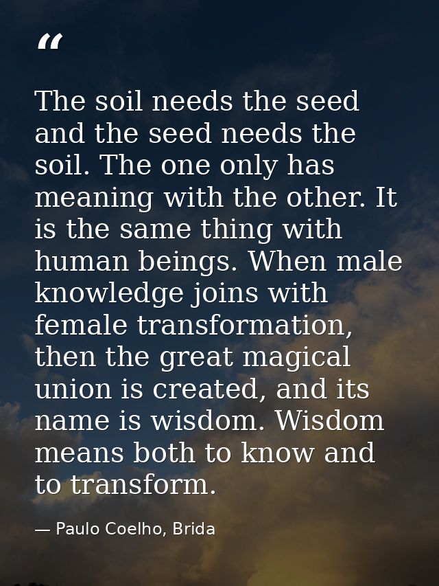 The soil needs the seed and the seed needs the soil. The one only has meaning with the other. It is the same thing with  — Paulo Coelho, Brida