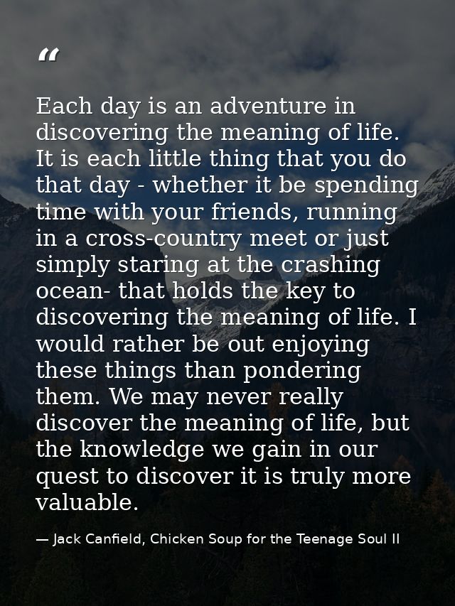 Each day is an adventure in discovering the meaning of life. It is each little thing that you do that day - whether it b — Jack Canfield, Chicken Soup for the Teenage Soul II