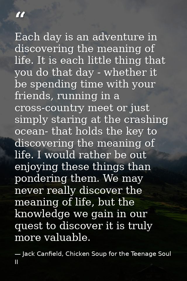 Each day is an adventure in discovering the meaning of life. It is each little thing that you do that day - whether it b — Jack Canfield, Chicken Soup for the Teenage Soul II