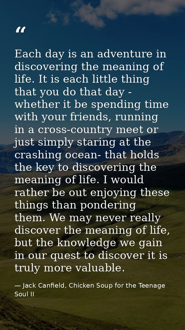 Each day is an adventure in discovering the meaning of life. It is each little thing that you do that day - whether it b — Jack Canfield, Chicken Soup for the Teenage Soul II