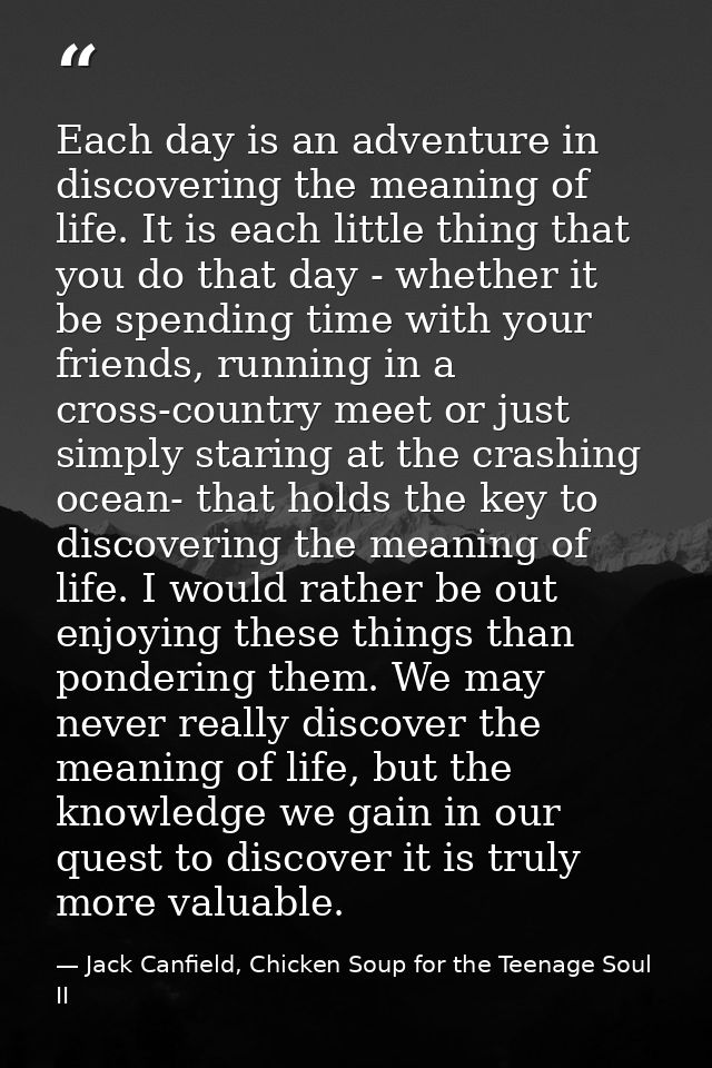 Each day is an adventure in discovering the meaning of life. It is each little thing that you do that day - whether it b — Jack Canfield, Chicken Soup for the Teenage Soul II