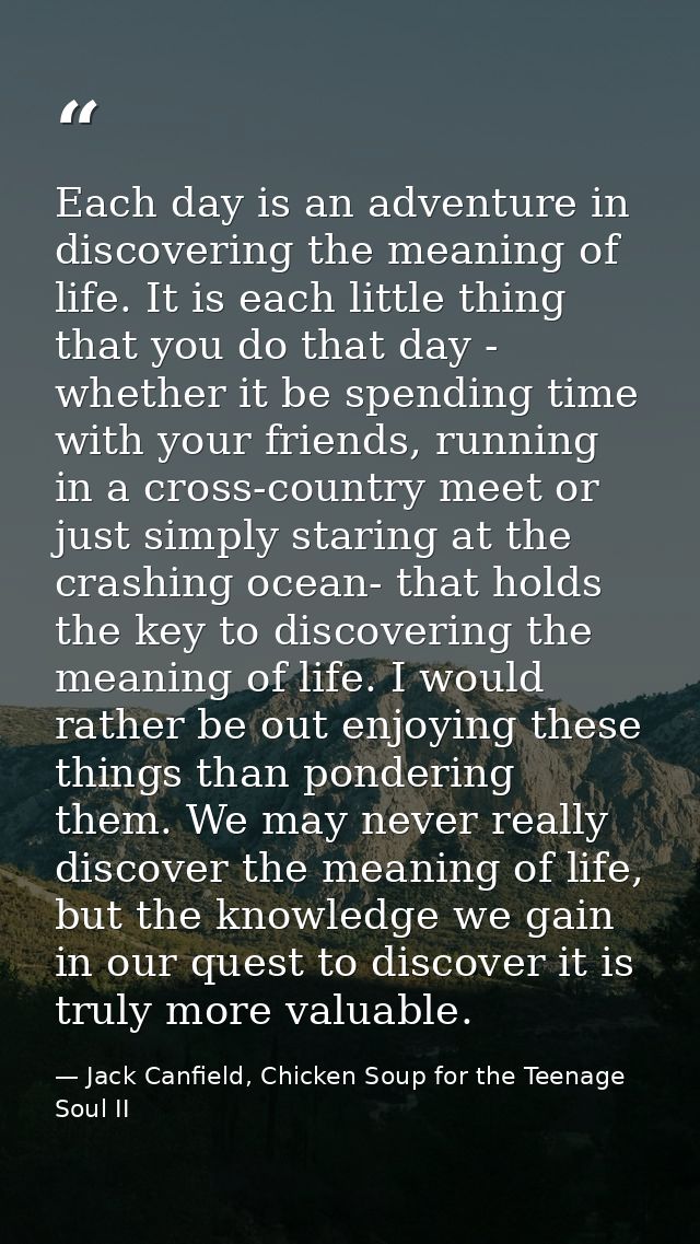 Each day is an adventure in discovering the meaning of life. It is each little thing that you do that day - whether it b — Jack Canfield, Chicken Soup for the Teenage Soul II