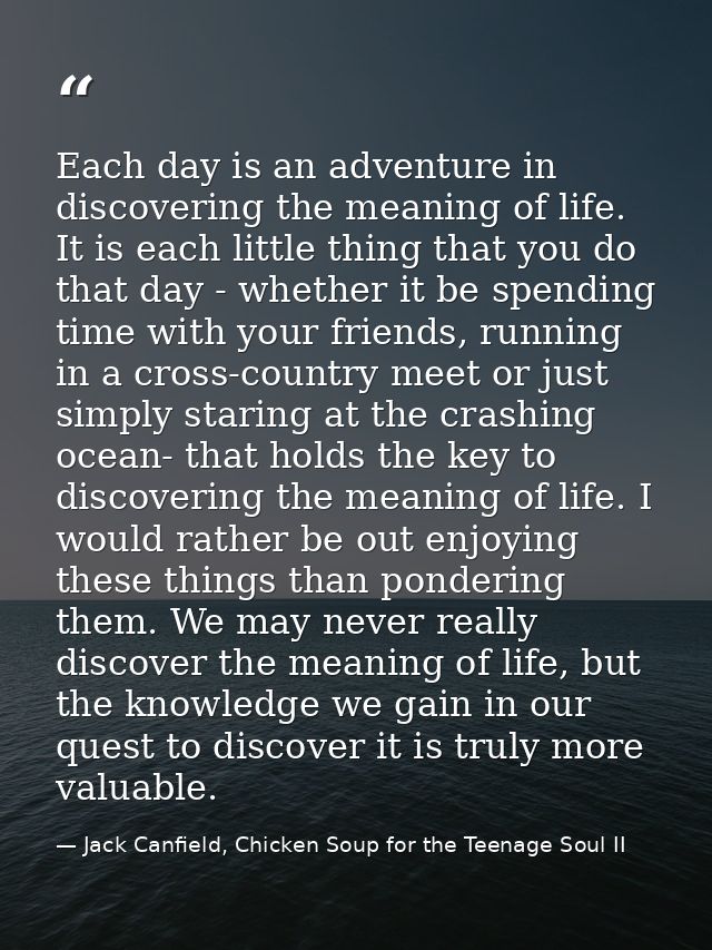 Each day is an adventure in discovering the meaning of life. It is each little thing that you do that day - whether it b — Jack Canfield, Chicken Soup for the Teenage Soul II