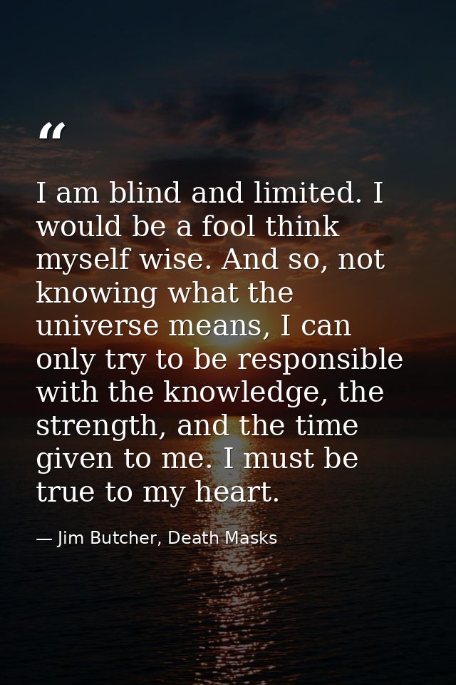 I am blind and limited. I would be a fool think myself wise. And so, not knowing what the universe means, I can only try — Jim Butcher, Death Masks