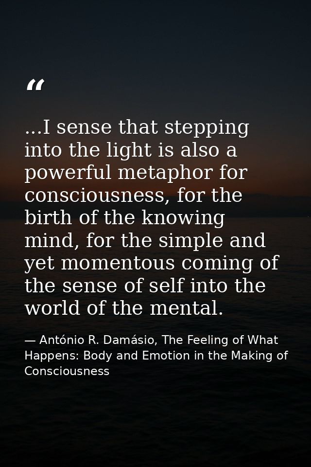 ...I sense that stepping into the light is also a powerful metaphor for consciousness, for the birth of the knowing mind — António R. Damásio, The Feeling of What Happens: Body and Emotion in the Making of Consciousness