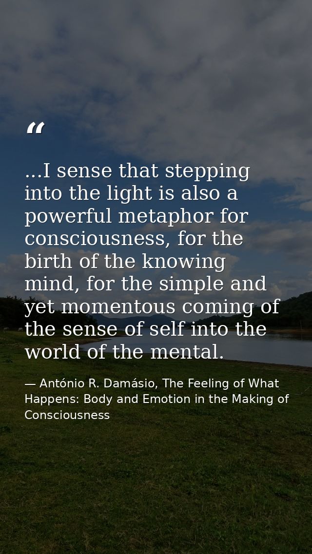 ...I sense that stepping into the light is also a powerful metaphor for consciousness, for the birth of the knowing mind — António R. Damásio, The Feeling of What Happens: Body and Emotion in the Making of Consciousness