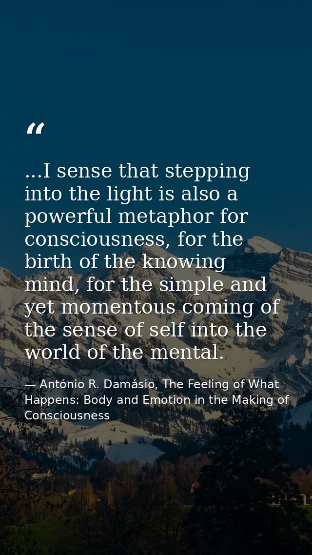 ...I sense that stepping into the light is also a powerful metaphor for consciousness, for the birth of the knowing mind — António R. Damásio, The Feeling of What Happens: Body and Emotion in the Making of Consciousness